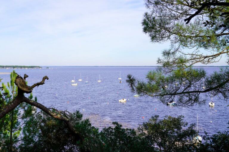 Top 3 façons de découvrir les landes et son beau paysage