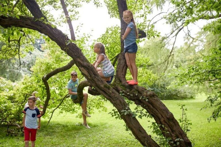 Quelles activités effectuer dans un parc de Morbihan