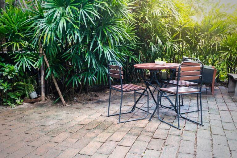 Comment choisir le bon brise-vue pour mon jardin