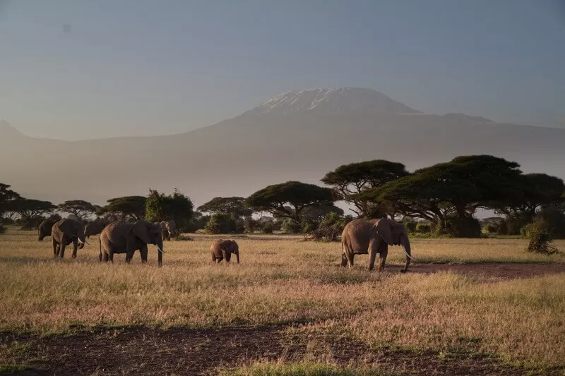 Vacances au Kenya