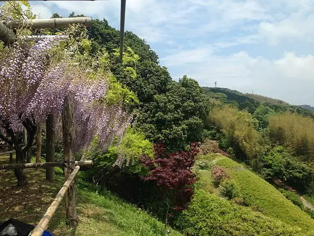 passer une semaine au japon en famille​