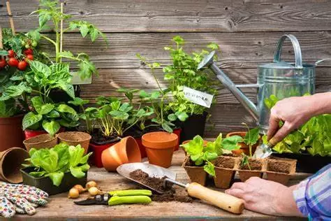 Les 7 outils de jardinage indispensables