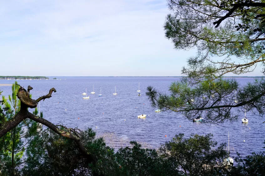 Top 3 façons de découvrir les landes et son beau paysage