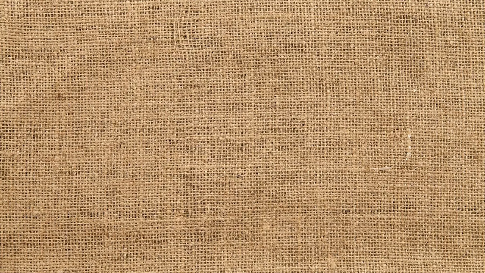 Quelle toile à peindre choisir pour vos créations ?