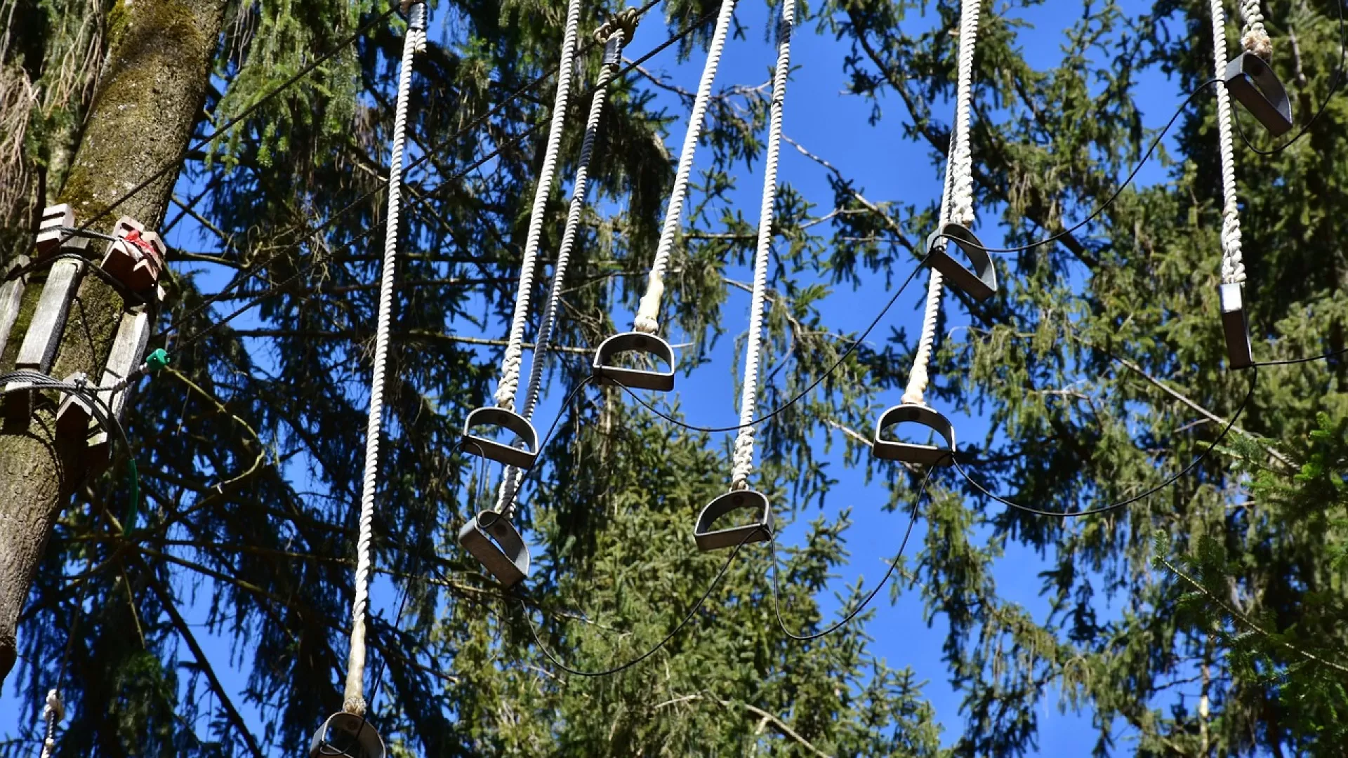 Où pratiquer l'accrobranche dans les Pyrénées?
