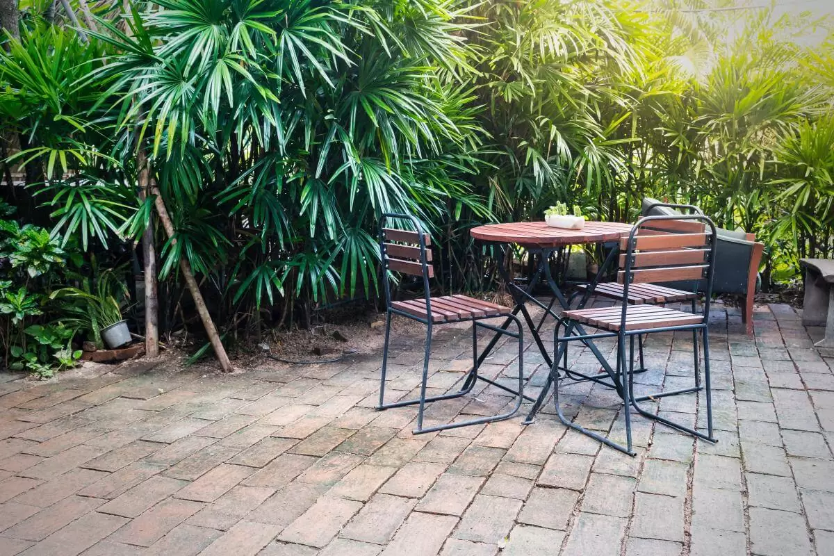 Comment choisir le bon brise-vue pour mon jardin