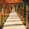 Optimisez votre pergola avec un filet de camouflage