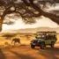 Safari All Inclusive en Afrique